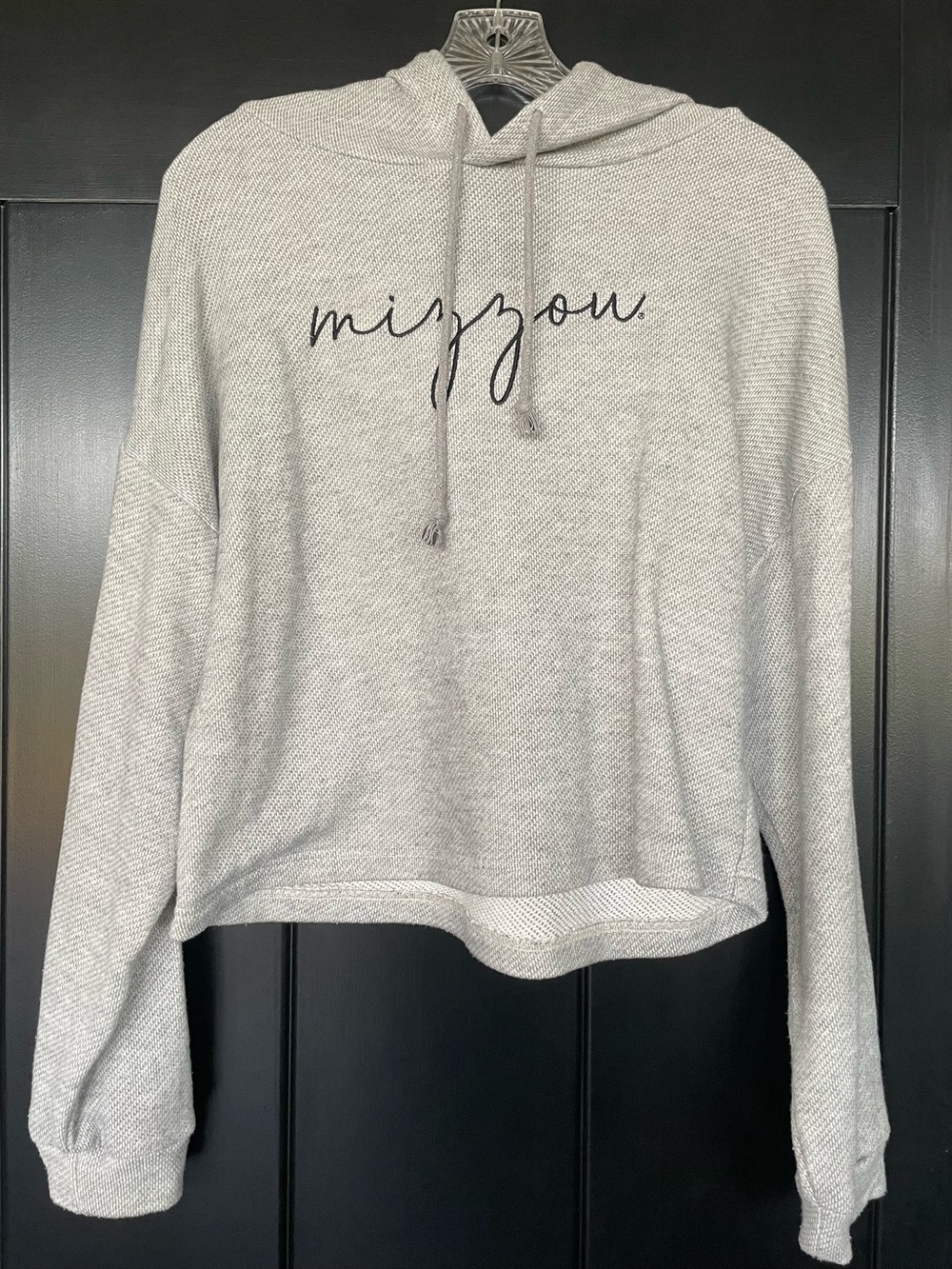 Light Gray Hooded Pullover with Script Logo